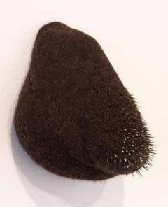 Stephanie Metz, Amorphozoa #11, 2009