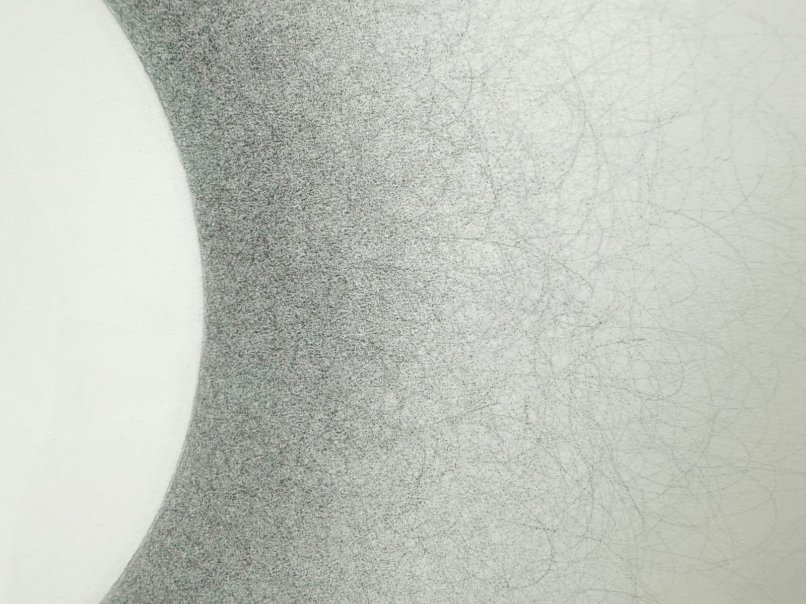 Tyrell Collins, Backlit Sphere on White (2), 2025