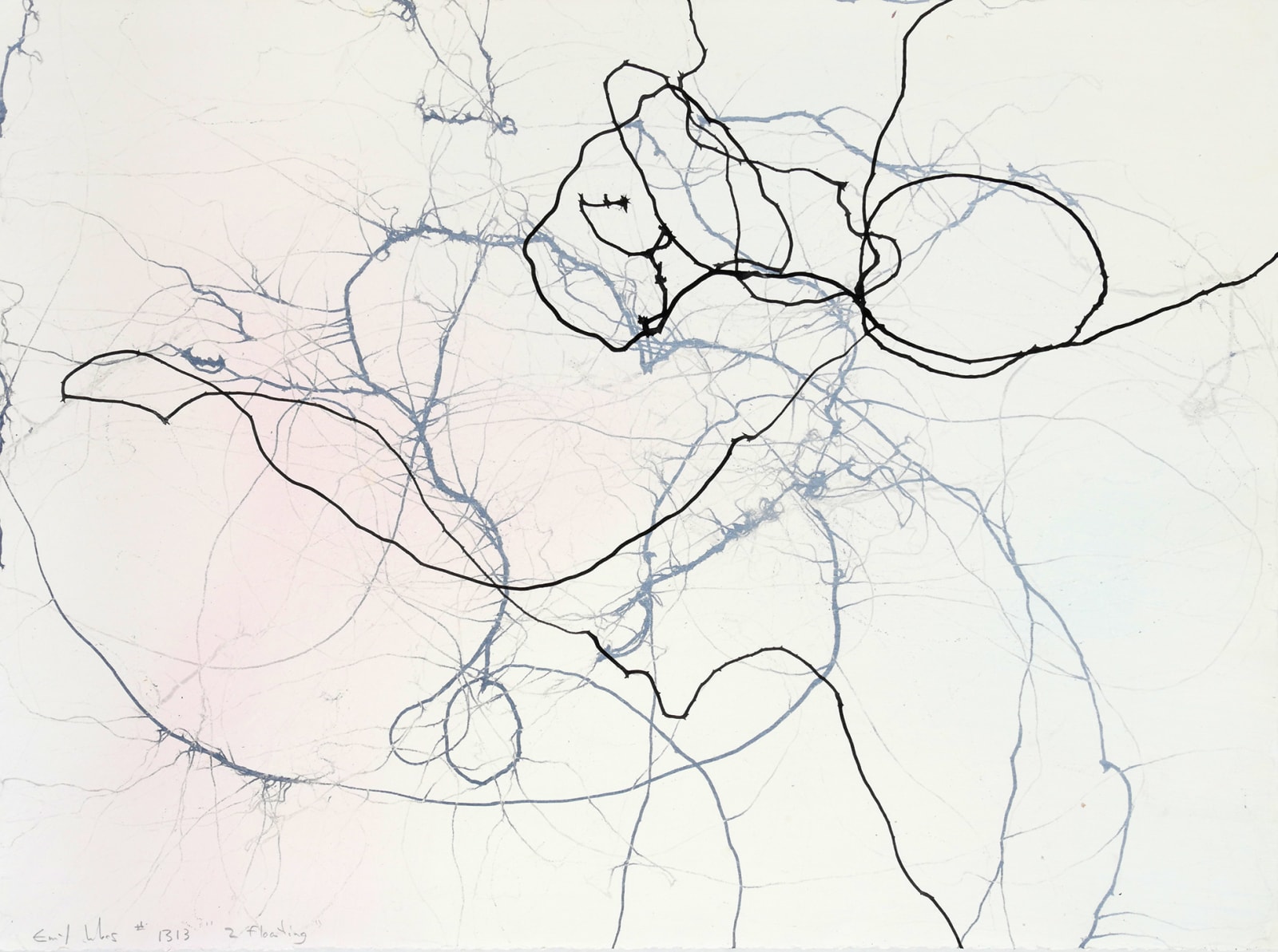 A prominent looping black ink trail with a background of a light gray pink and blue ink wash and other faded ink trails that have several offshoots