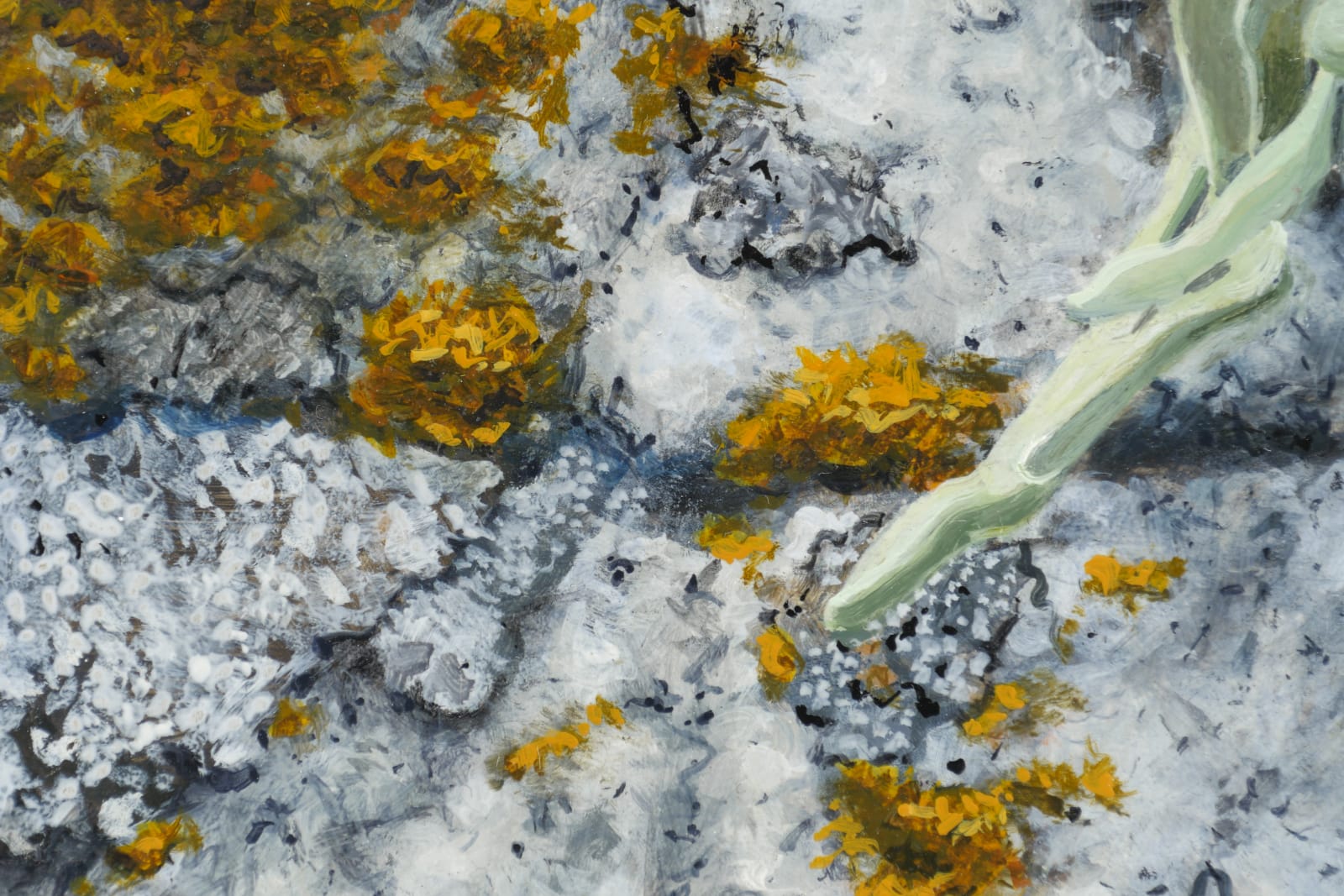 detail of cracked stone, orange lichen and green tendril.