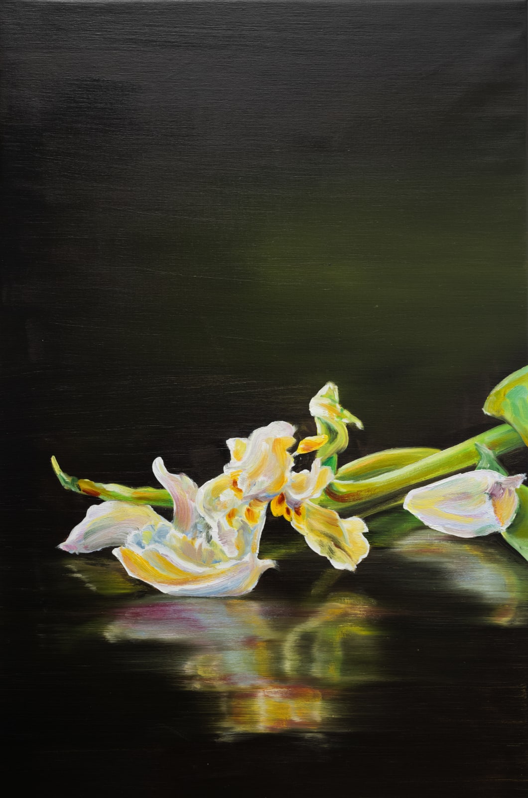 Cornelius Völker, Blüte (Bloom), 2025