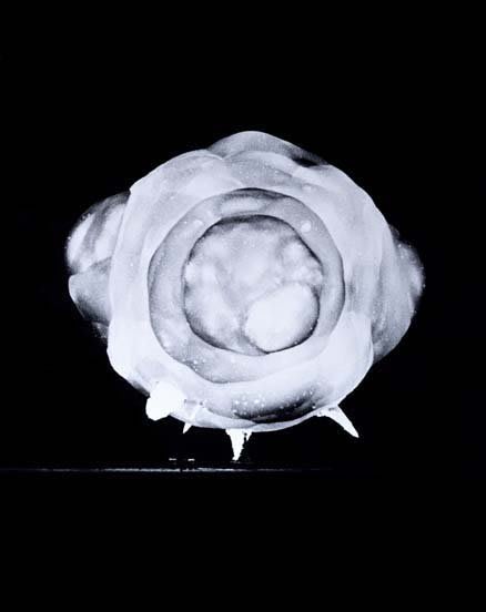 Michael Light, 100 SUNS: 005 HOW, 2003
