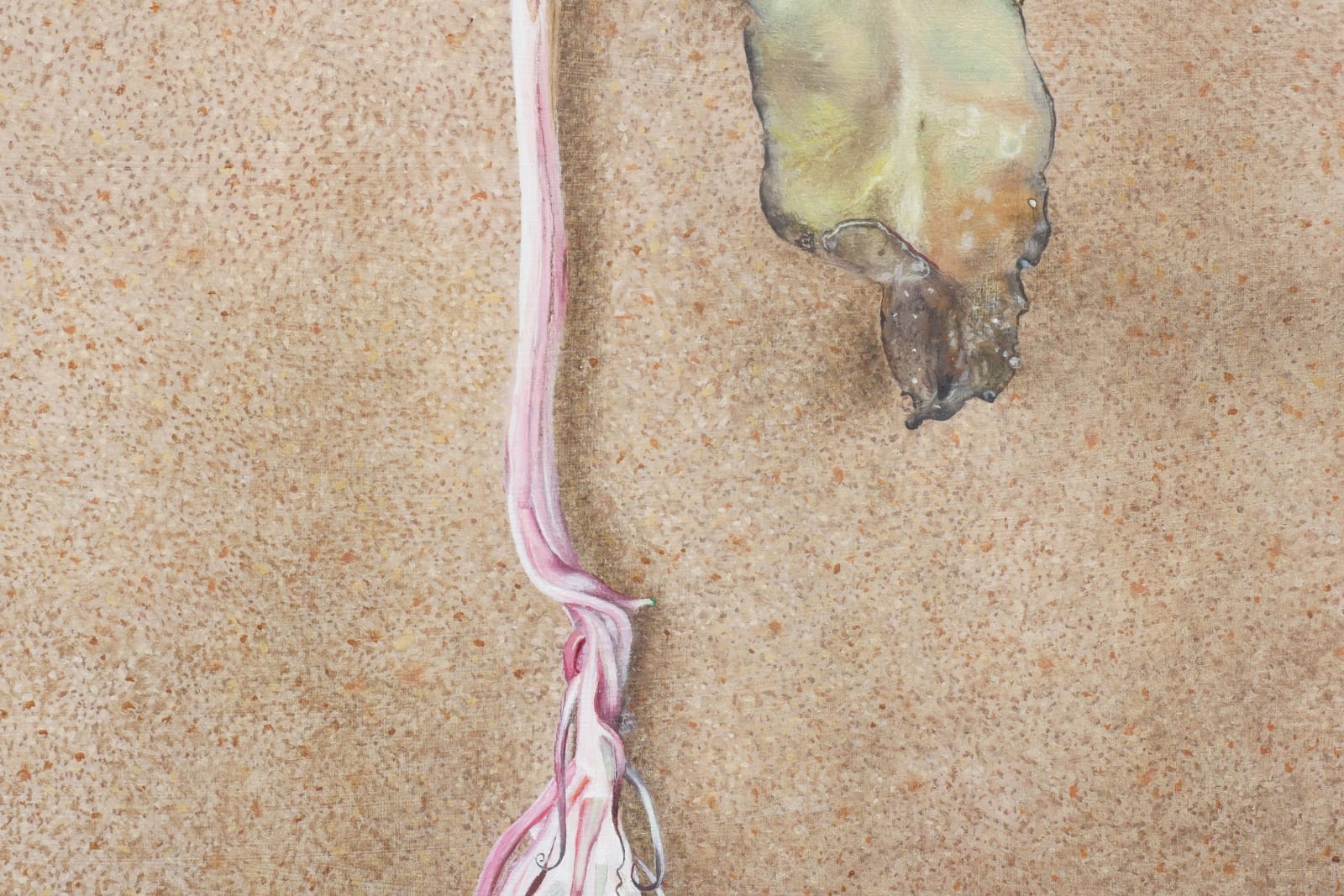 Tim Hawkinson, RIP Issey, 2022