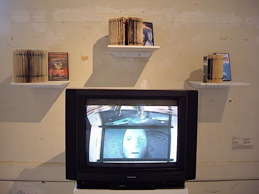 Amy Hicks, ReAdaptation: the book series, 2007-2008