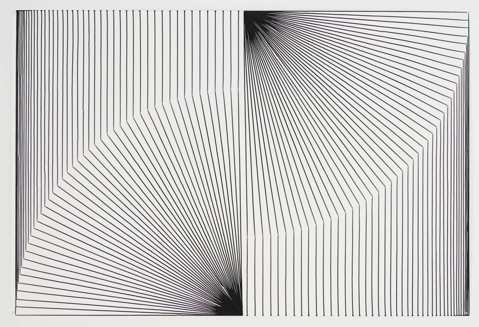 Tim Hawkinson, Nioni, 2019