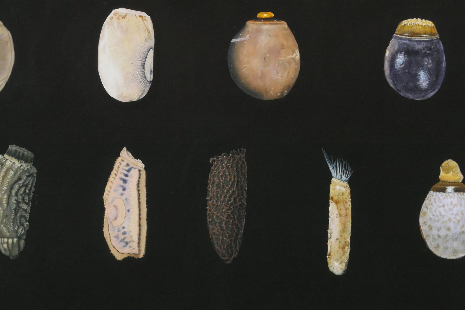 Isabella Kirkland, Phasmid Eggs II, 2022