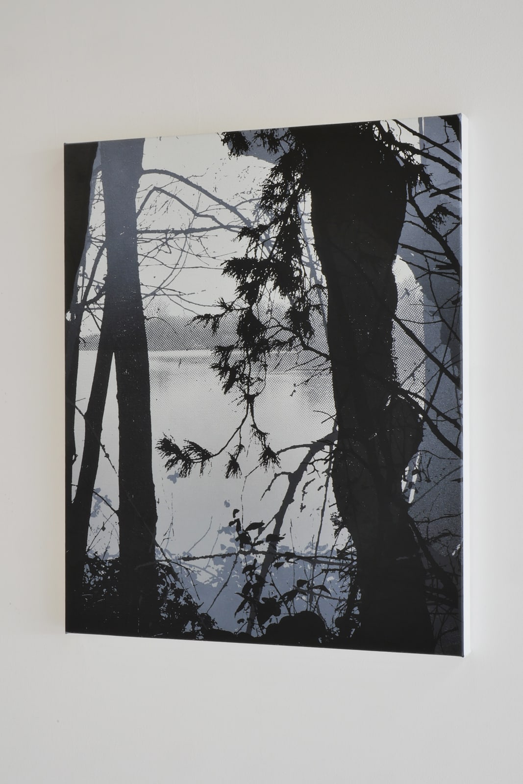 Birgit Jensen, SEARCHING FOR MUSHROOMS IV, 2023