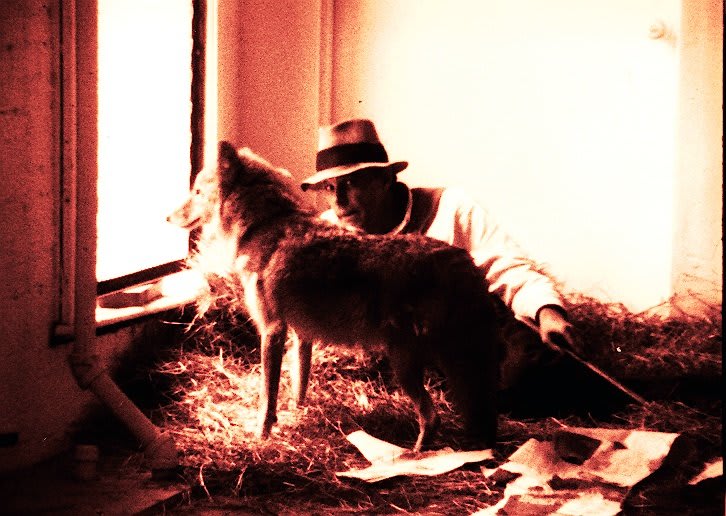 Joseph Beuys, I Like America and America Likes Me, 1974
