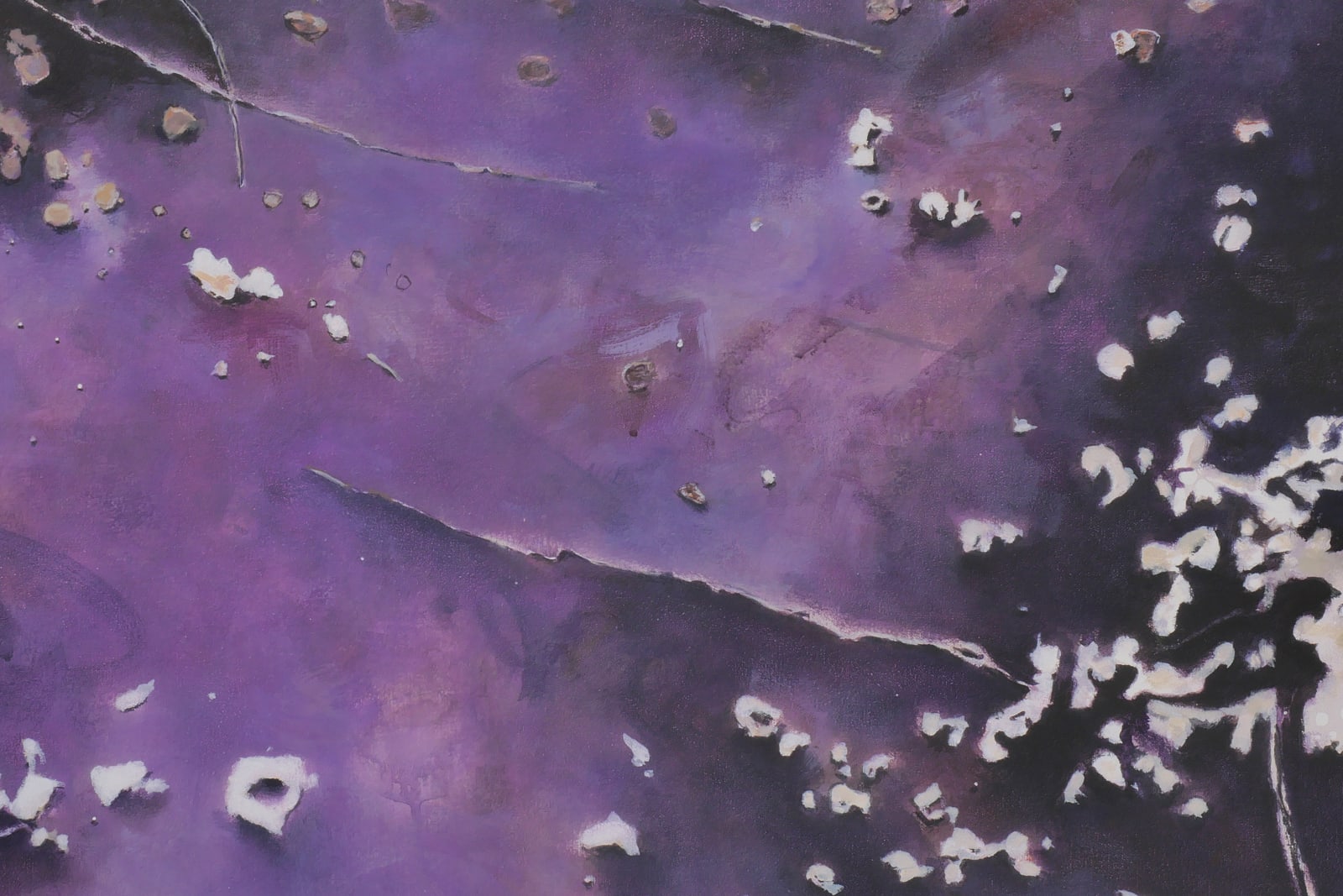 Judith Belzer, Weather Report #17, 2026