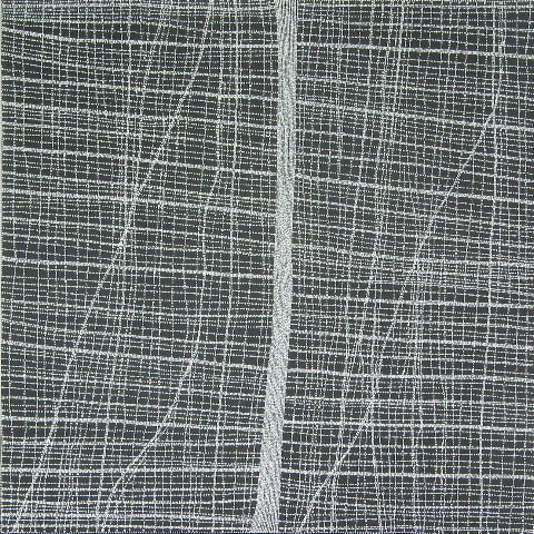 Dorothy Napangardi, Salt, 2005