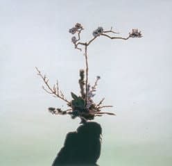 Greg Rose, Arrangement #1, 2002