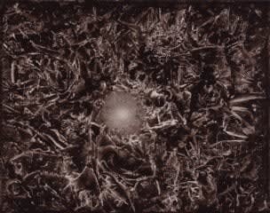 Roland Flexner, Untitled (SN27), 2007