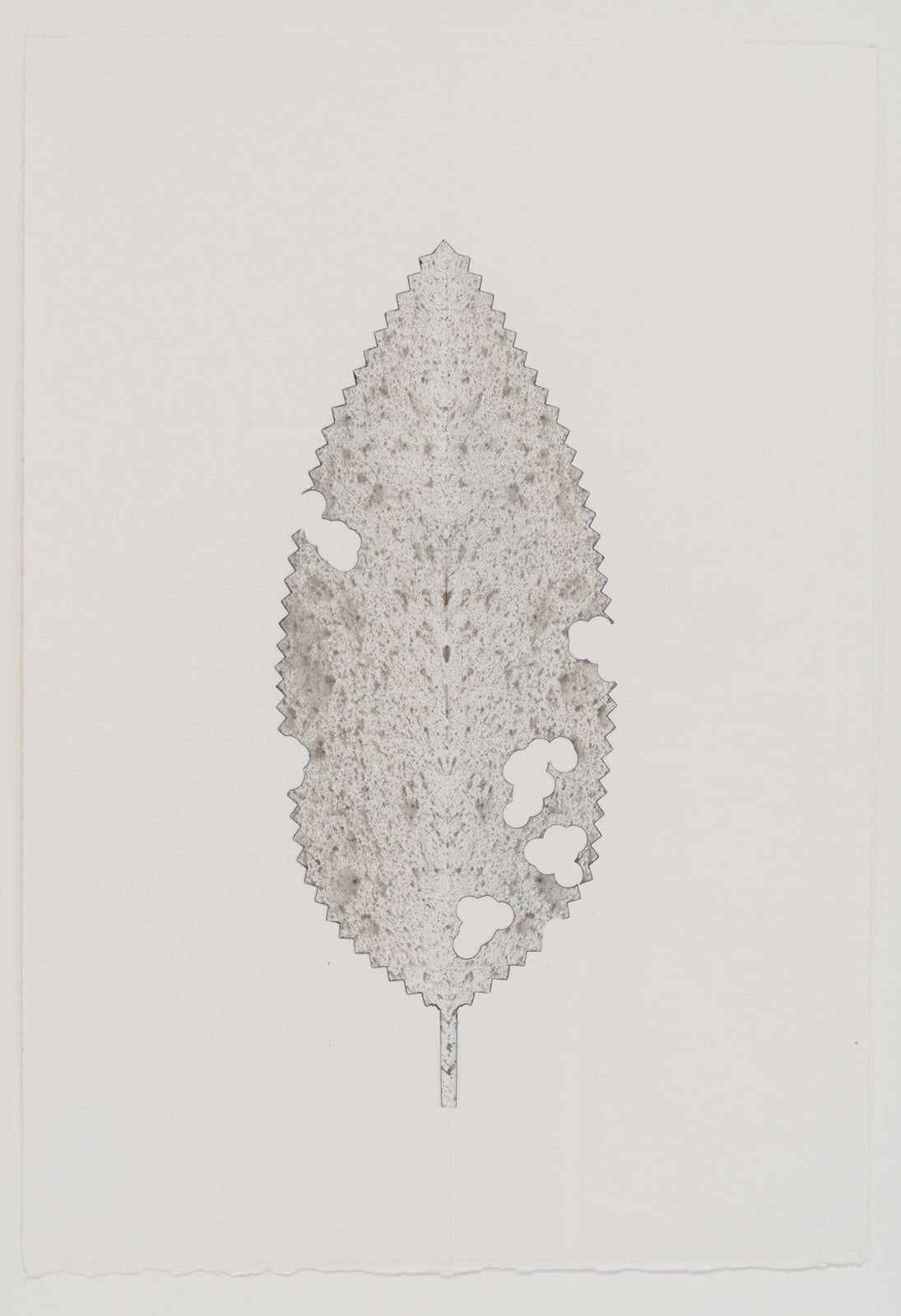 Leaf with holes. Colored with very fine ink blotting, making the leaf read grey.
