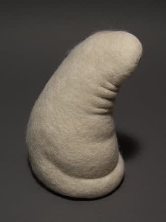 Stephanie Metz, Amorphozoa #5, 2009