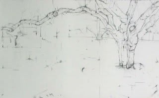 Jill Lear, Untitled, 7/2002
