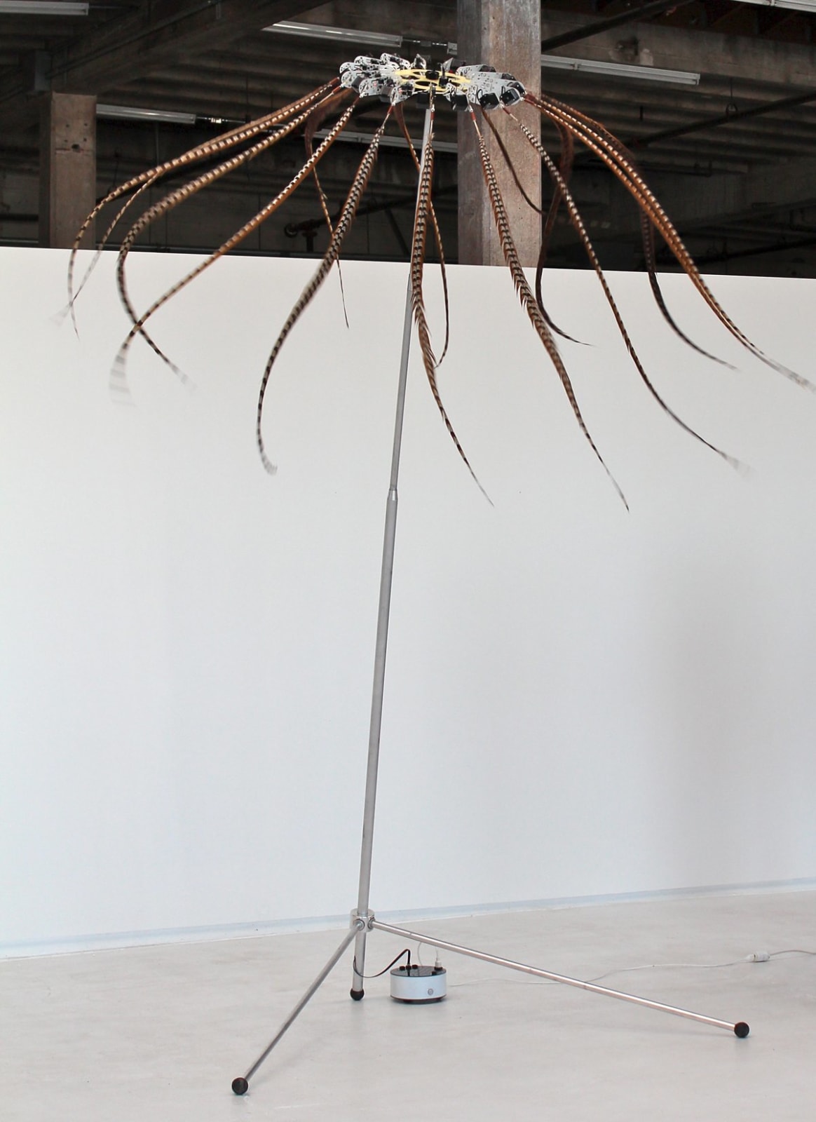 Still image of a very tall moving mechanical sculpture installation. The installation is placed in an open white walled gallery space and consists of a tall central metal pole which umbrellas into multiple feathers at its top