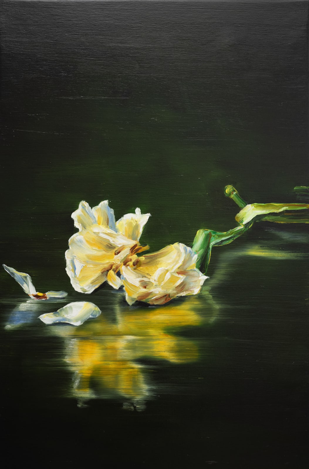 Cornelius Völker, Blüte (Bloom), 2025
