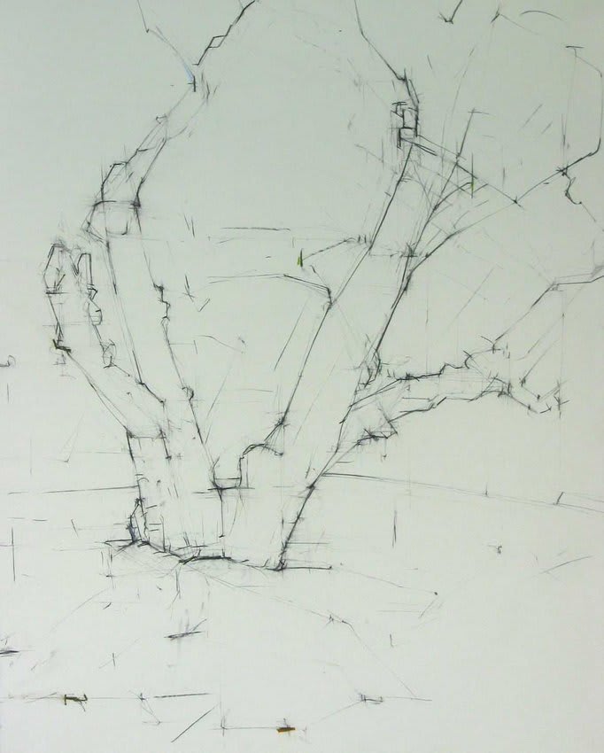 Jill Lear, SJ Quercus III E(80°) N 48° 29' 27.2" W 123° 02' 39.5", 8/2002