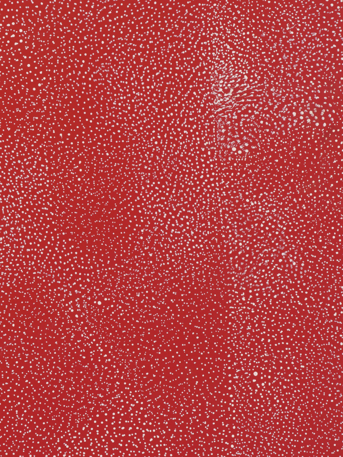 Detail of Bush plum (3-511).
