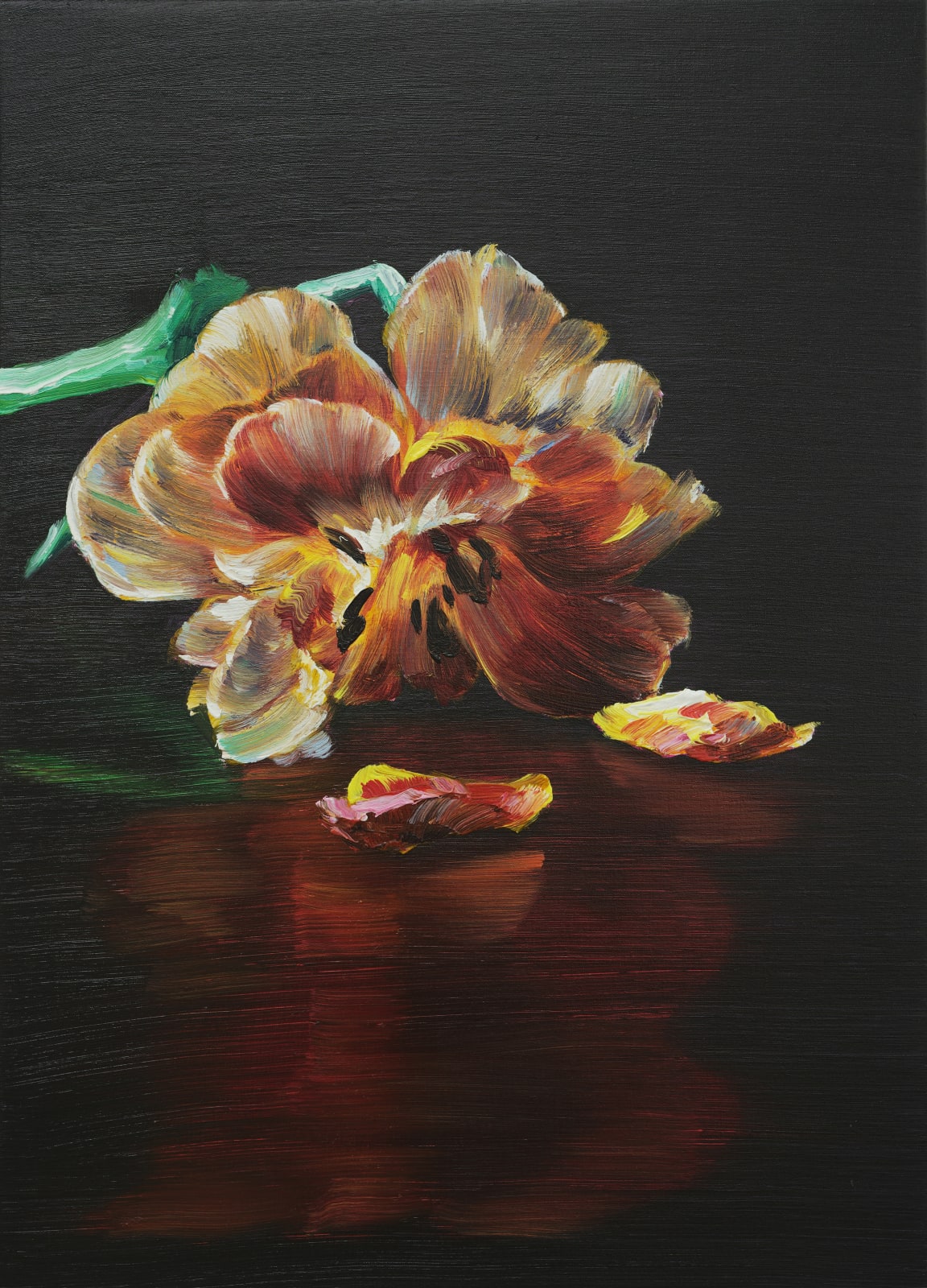 Cornelius Völker, Blüte (Bloom), 2025