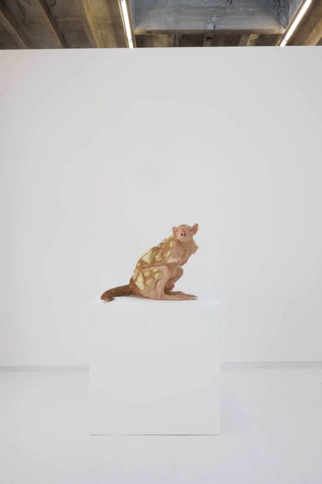 A view of the sculpture on a white pedestal in front of a white wall.