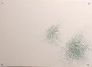 Nelleke Beltjens, Apparently #5, 2009