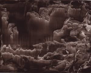 Roland Flexner, Untitled (SN92), 2007