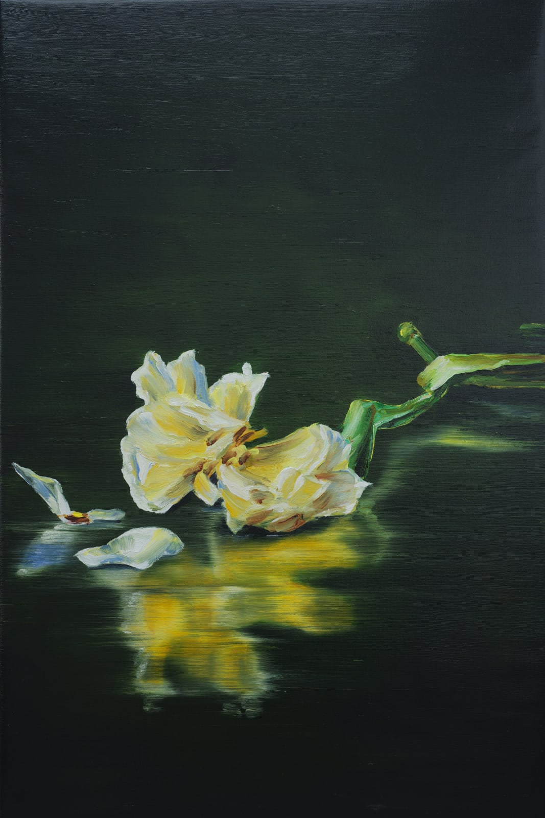 Cornelius Völker, Blüte (Bloom), 2025