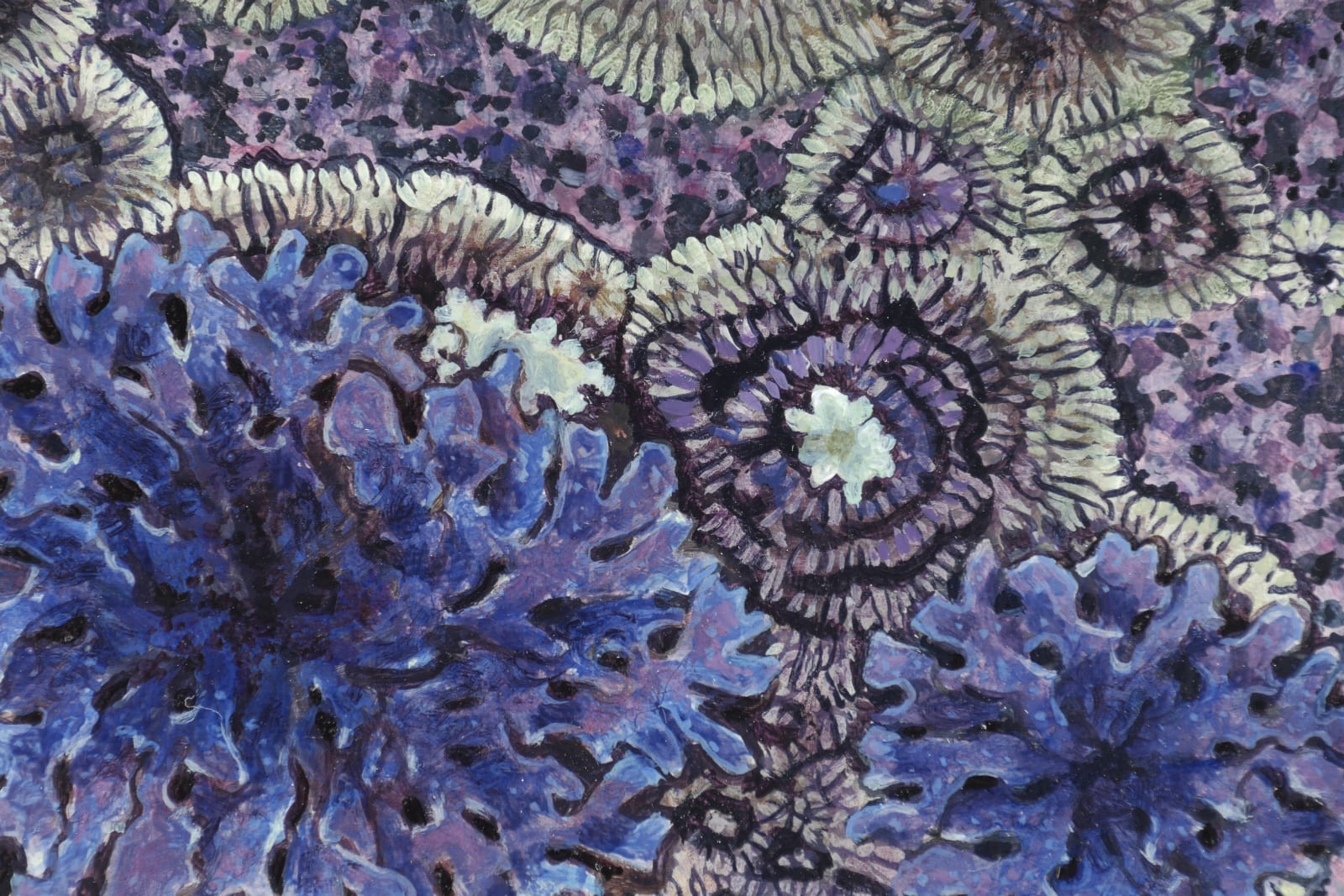 Detail of several clusters of purple and light green lichens.