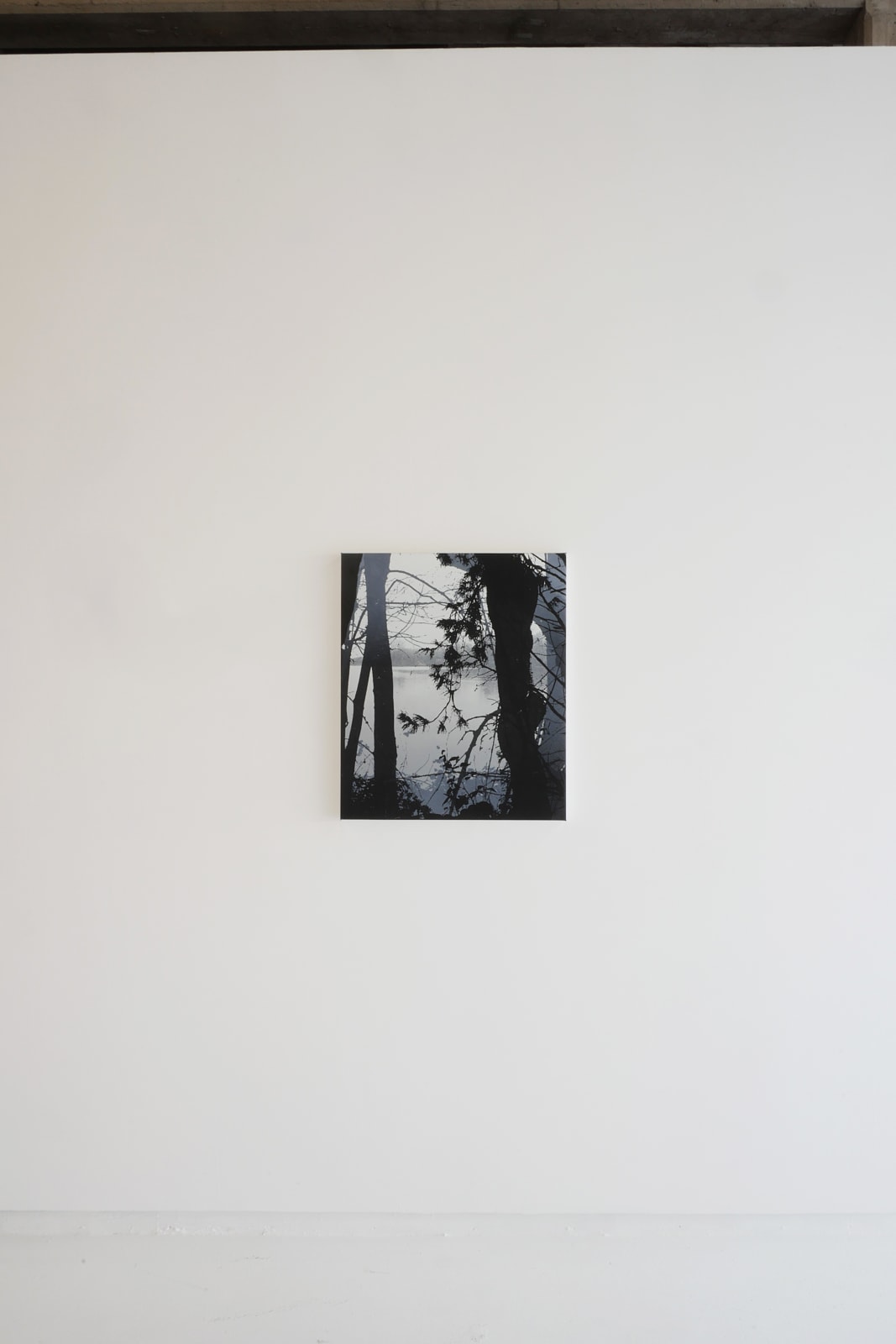 Birgit Jensen, SEARCHING FOR MUSHROOMS IV, 2023