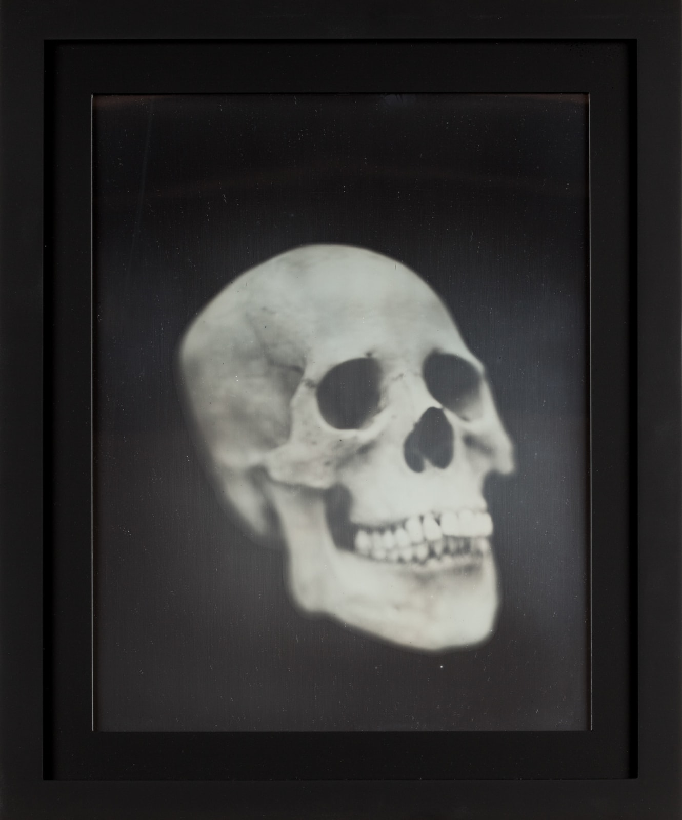 ADAM FUSS, Untitled, 2002