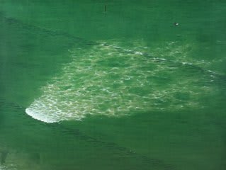 Chris Ballantyne, Wave (Trail), 2010