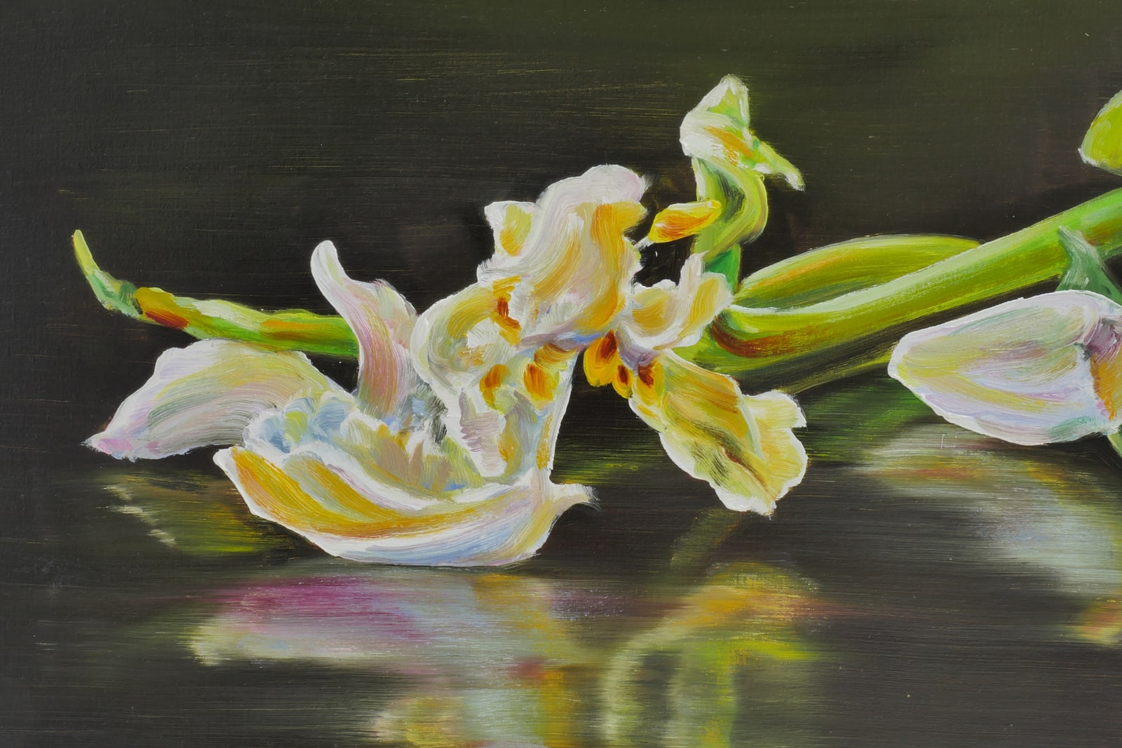 Cornelius Völker, Blüte (Bloom), 2025