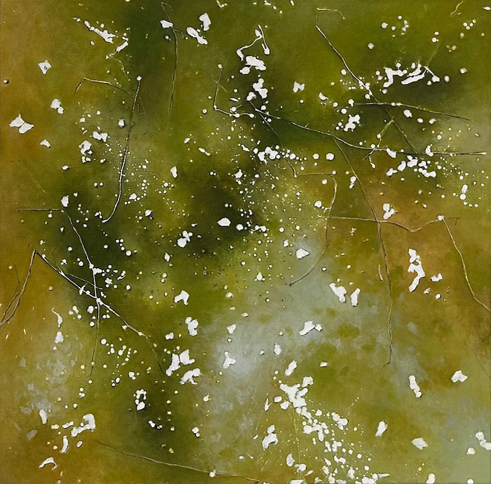 Judith Belzer, Weather Report #13, 2025