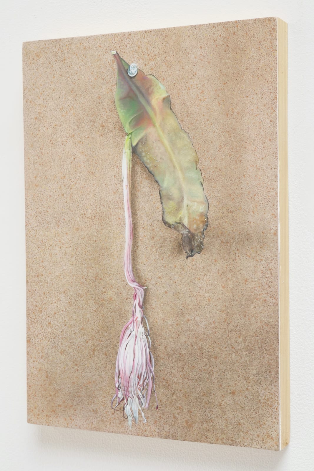Tim Hawkinson, RIP Issey, 2022