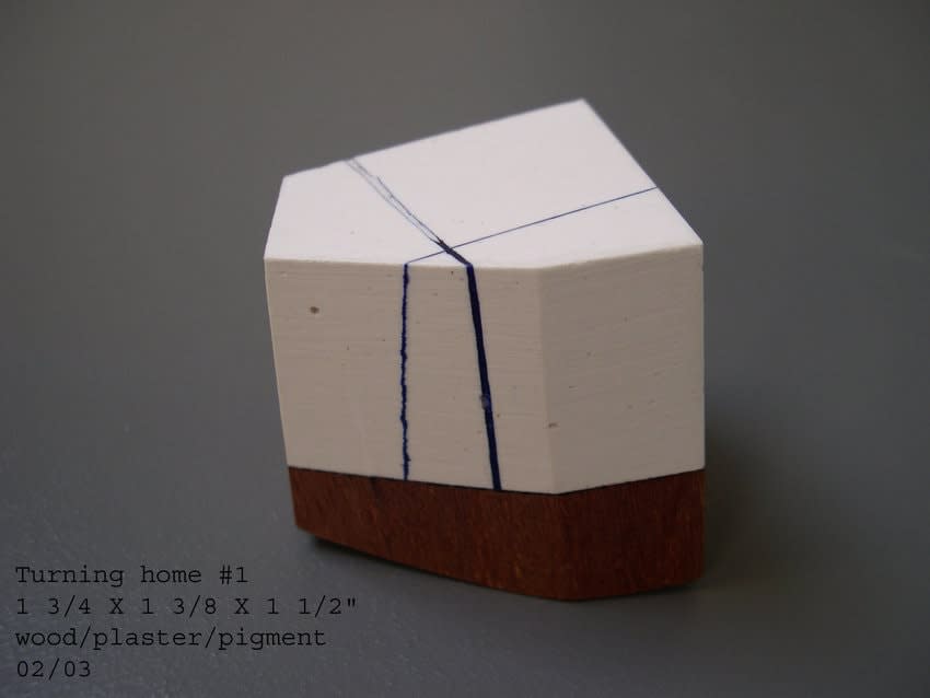 NELLEKE BELTJENS, Turning Home, 2002-03