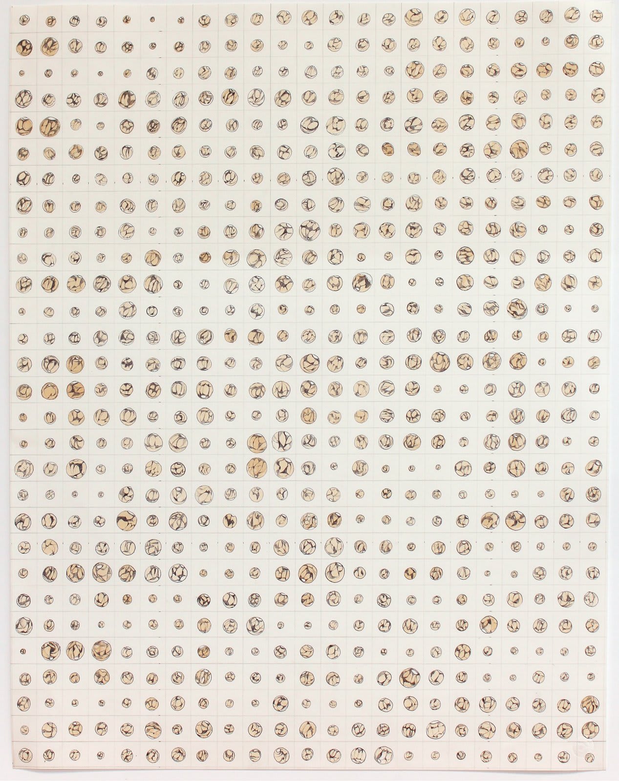 A twenty three by twenty nine grid of small circular coffee stains traced and scribbled over in black ball point pen