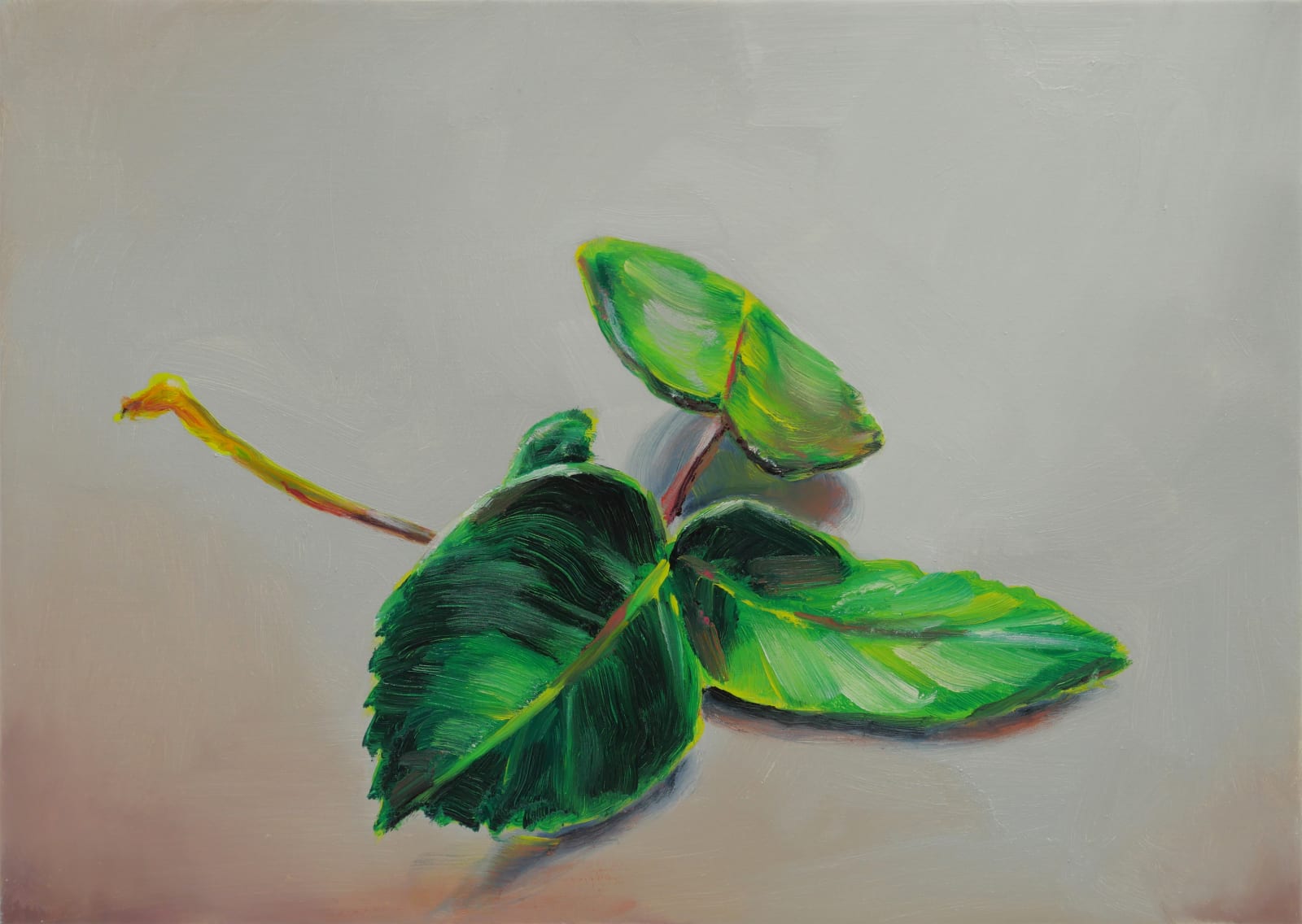 Three green leaves attached by a red stem rest on a beige surface.