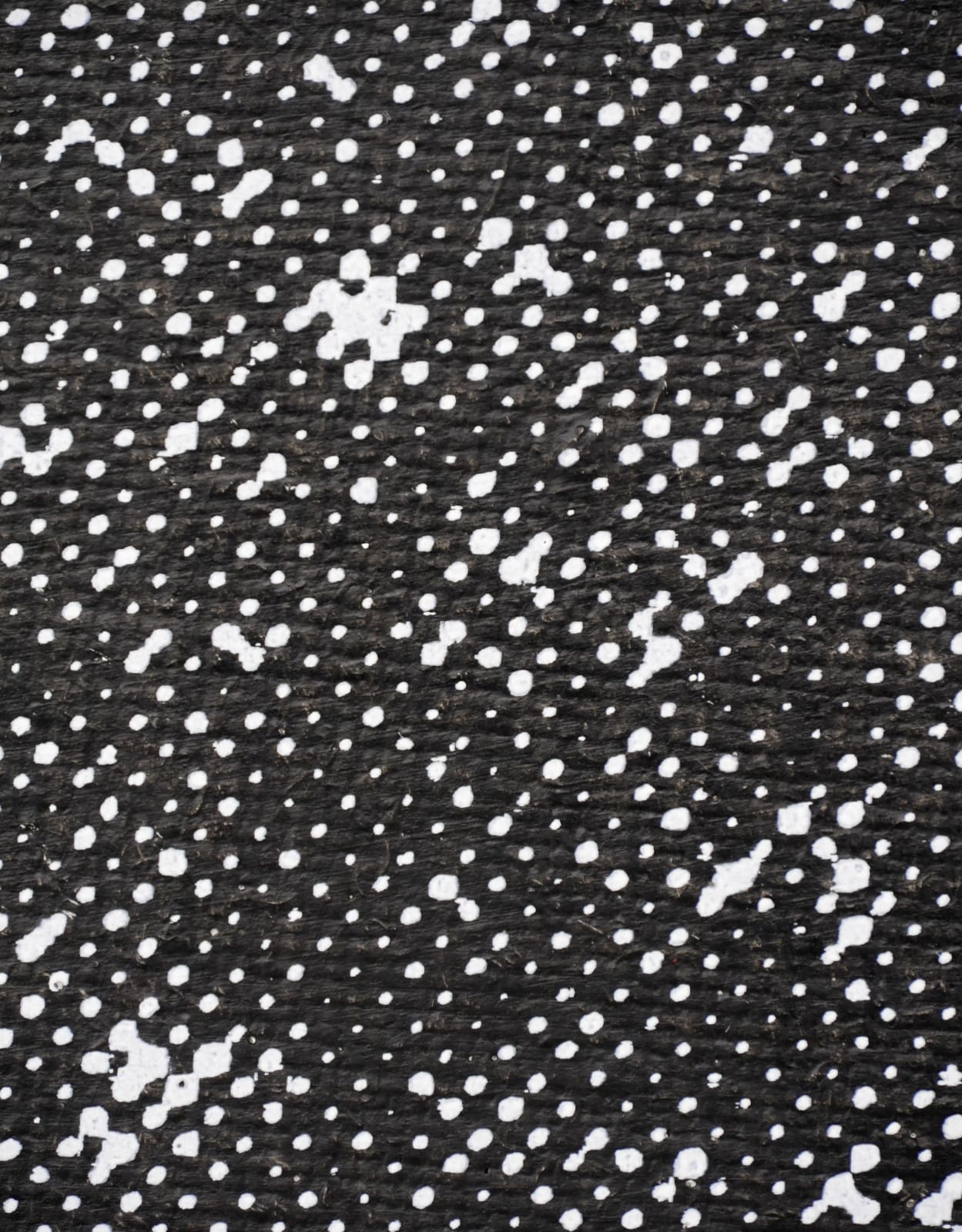 Detail of UKY X