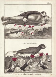 Ruth Marten, Les Phoques, 2007