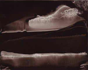 Roland Flexner, Untitled (SN22), 2007