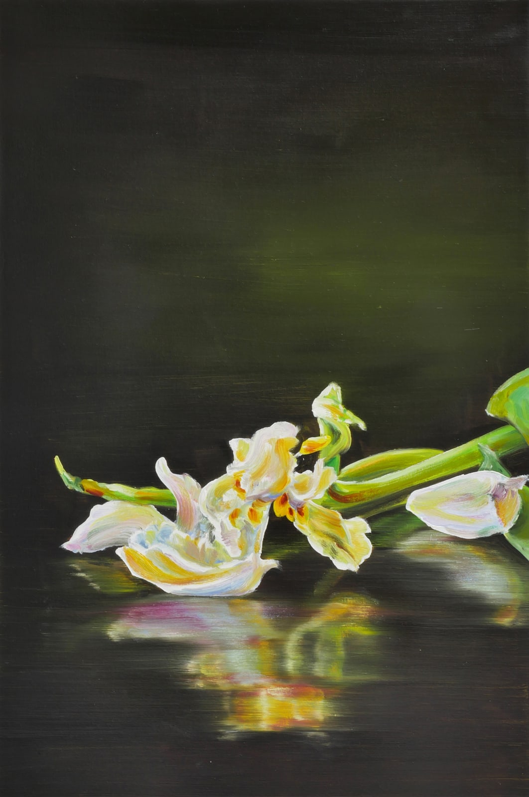 Cornelius Völker, Blüte (Bloom), 2025