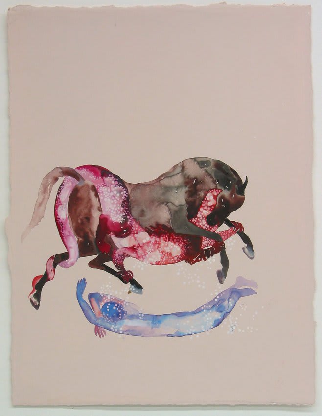 Shahzia Sikander, Plush Blush 21 (a&b), 2003