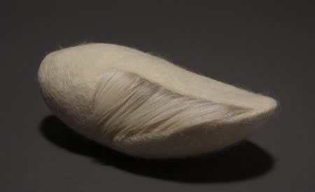Stephanie Metz, Avicular #6, 2009
