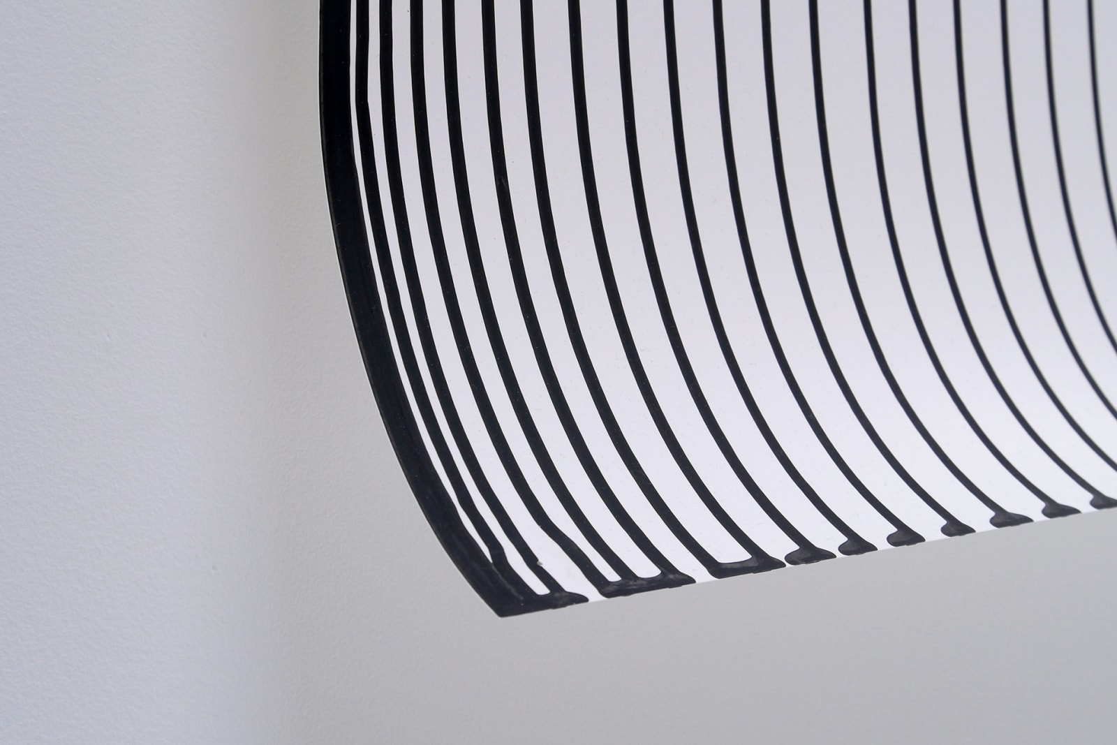 Tim Hawkinson, Nioni, 2019