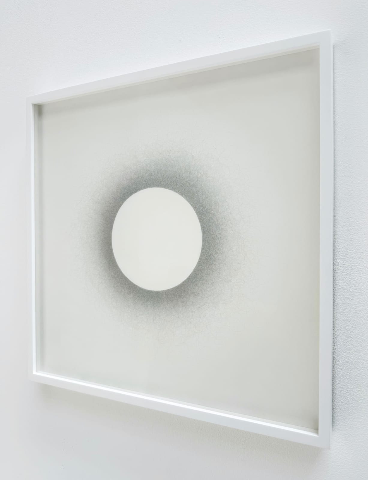 Tyrell Collins, Backlit Sphere on White (2), 2025