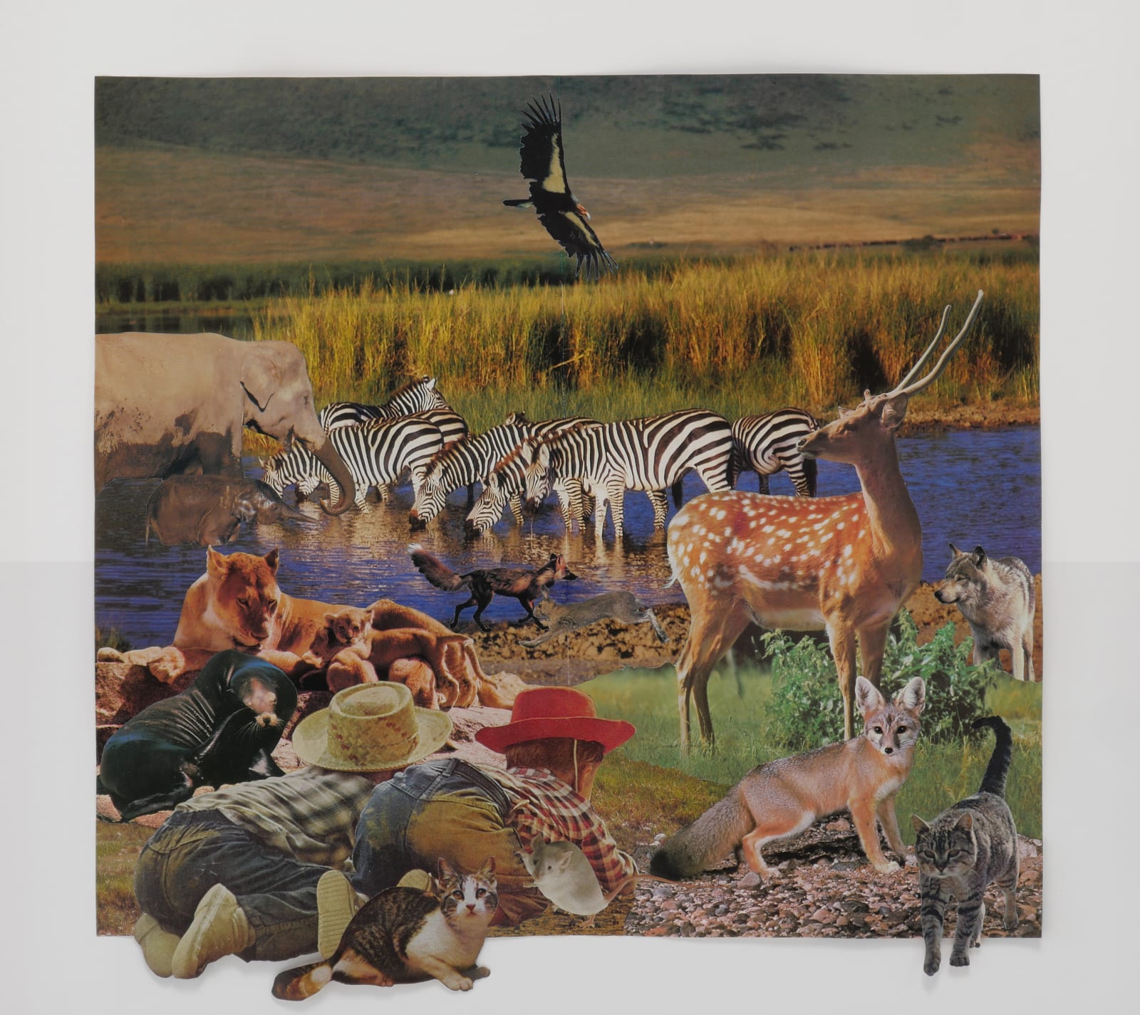 Collage featuring two little boys crouched on their elbows and knees looking at watering hole with many animals.