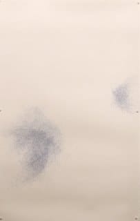 Nelleke Beltjens, Any Way #2, 2009
