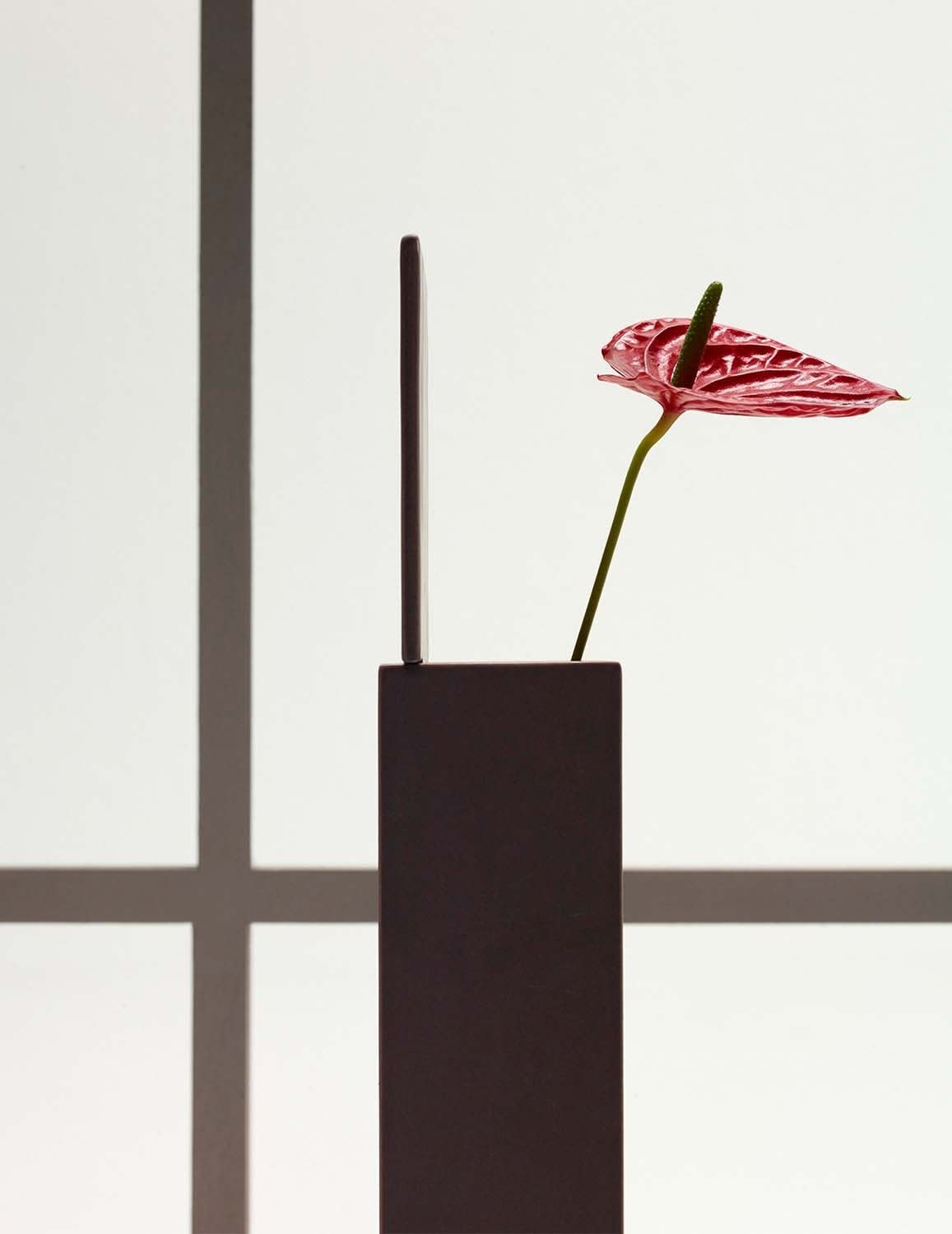 Erwin Olaf, Still Life with Anthurium, 2015