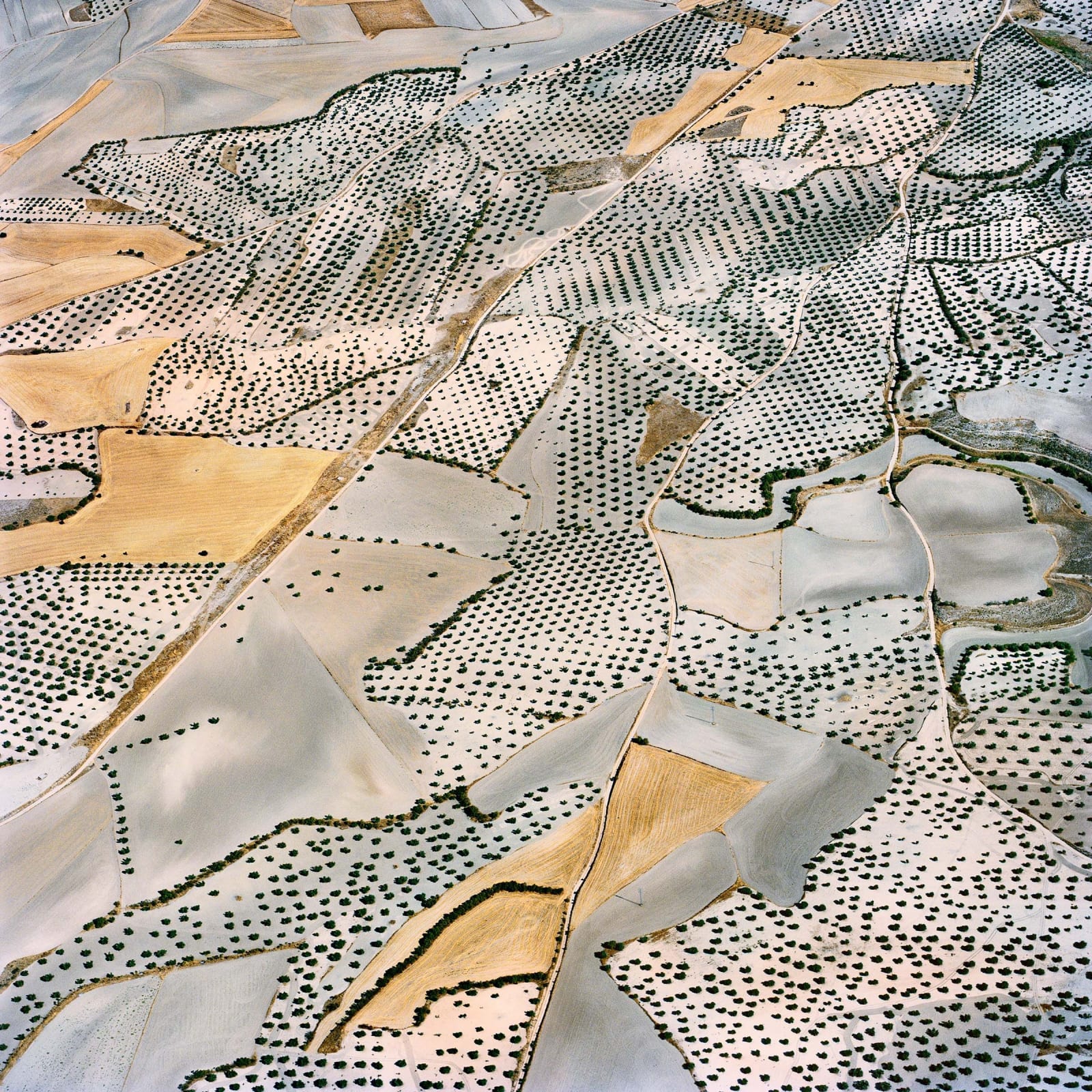 abstract aerial view of borax laden field in La Mancha, Spain by David Maisel